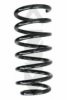 SPIDAN 48397 Coil Spring